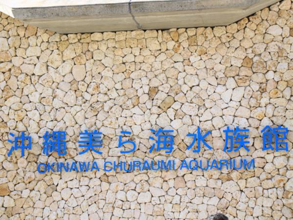 Kariyushi Condominium Resort Nago Rb Villa Nakijin Ngoại thất bức ảnh